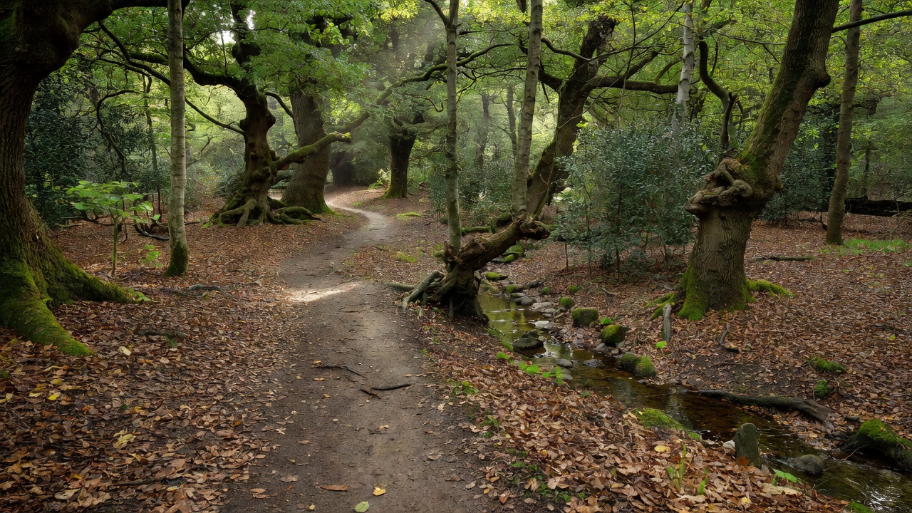 Flint Copse Briefing: Key Facts and Insights