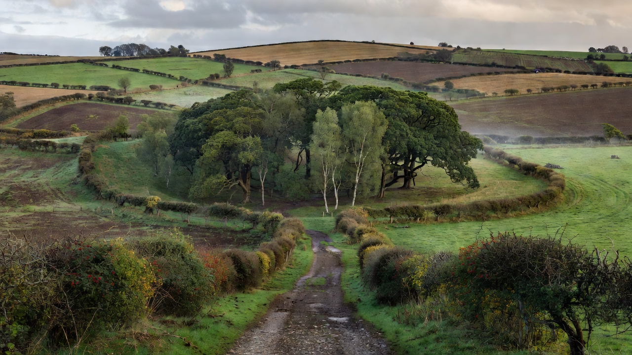 Flint Copse and Its Place in the Landscape